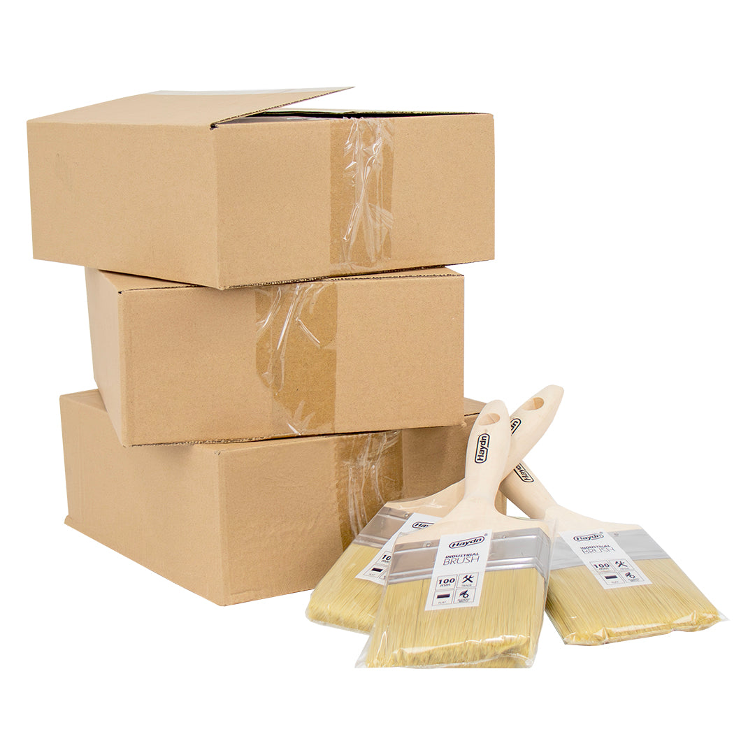 White Bristle Industrial Brush - 36 Packs - Buy The Box