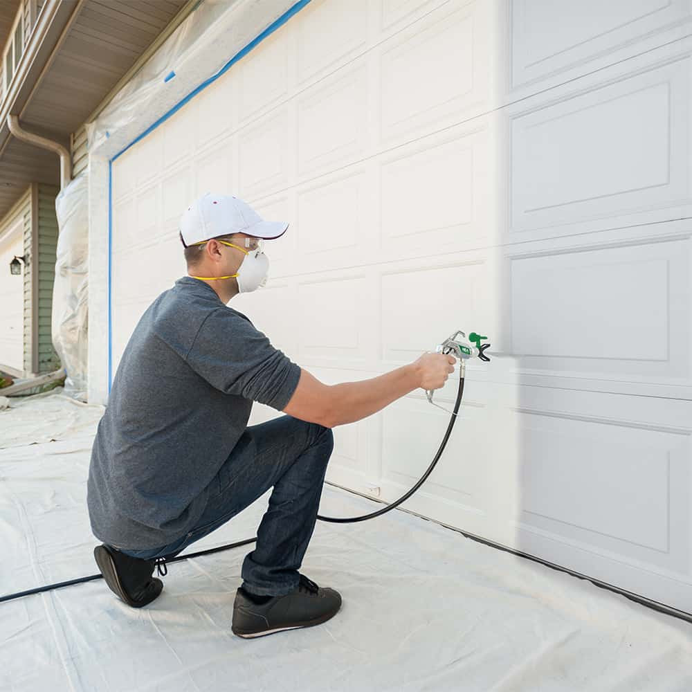 Wagner Control Pro 350 Extra