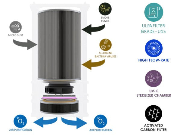 Rupes Niveus Filtration