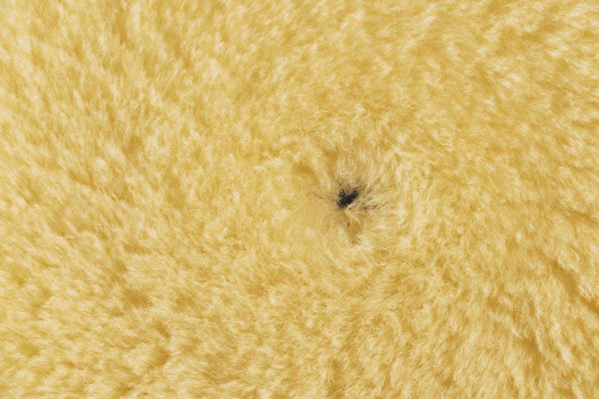 RUPES D.A. Medium Wool polishing pad detail