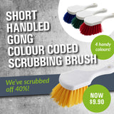 Short Handled Gong Colour Coded Cleaning Brush - Four Colors Options