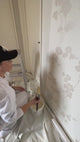 Haydn Professional Tapioca Wallpaper Paster Brush 100mm