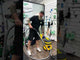Pullman Commercial 15 Litre Wet And Dry Vacuum